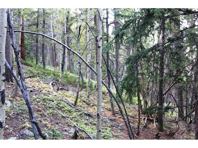 0 Gamble Gulch, Black Hawk, CO 80422