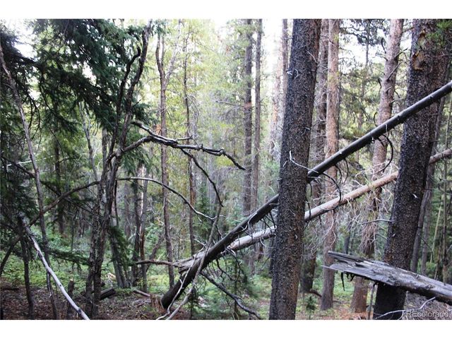 0 Gamble Gulch, Black Hawk, CO 80422