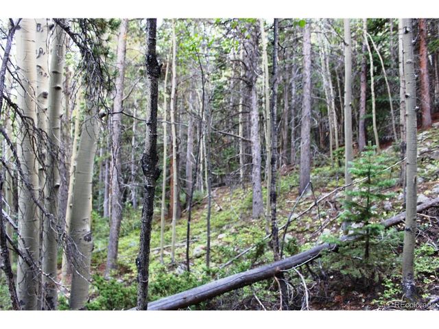 0 Gamble Gulch, Black Hawk, CO 80422