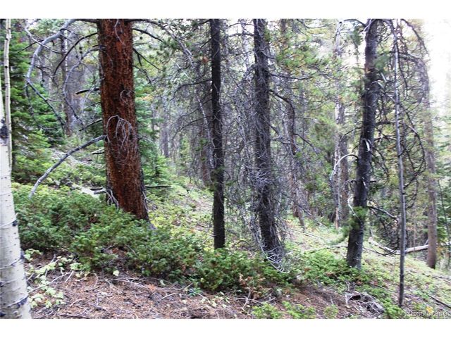 0 Gamble Gulch, Black Hawk, CO 80422