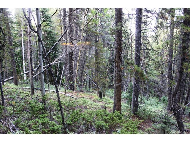 0 Gamble Gulch, Black Hawk, CO 80422