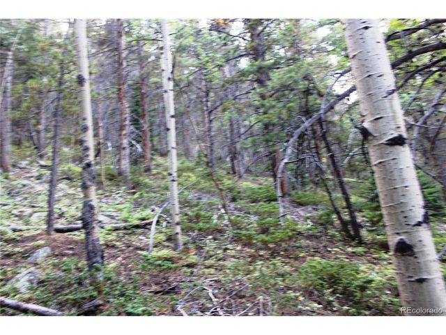 0 Gamble Gulch, Black Hawk, CO 80422