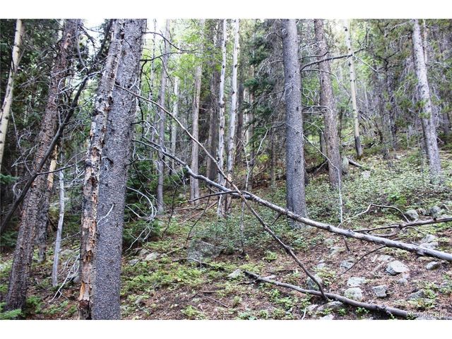 0 Gamble Gulch, Black Hawk, CO 80422