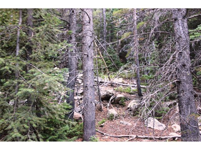 0 Gamble Gulch, Black Hawk, CO 80422