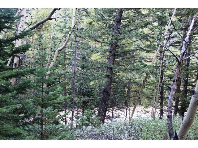 0 Gamble Gulch, Black Hawk, CO 80422