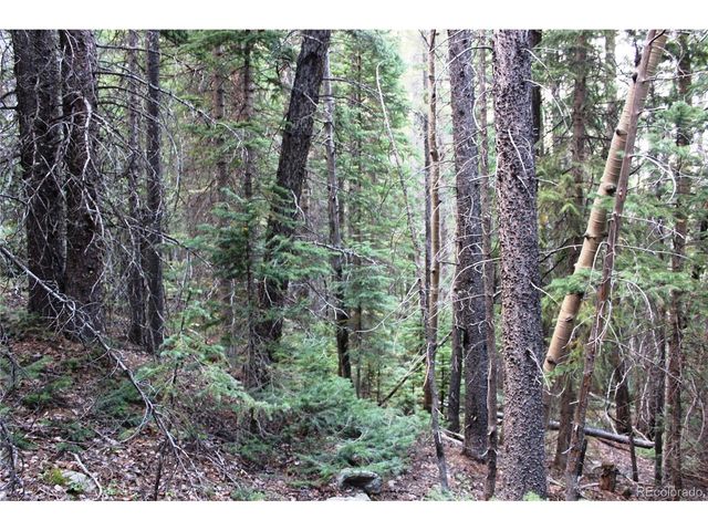 0 Gamble Gulch, Black Hawk, CO 80422