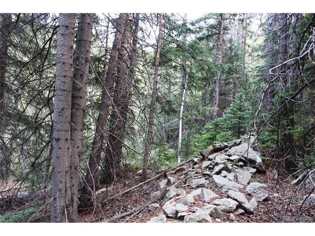 0 Gamble Gulch, Black Hawk, CO 80422