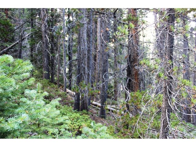 0 Gamble Gulch, Black Hawk, CO 80422