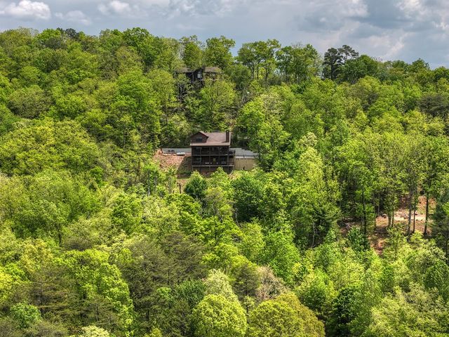 291 Tower Road, Mineral Bluff, GA 30559