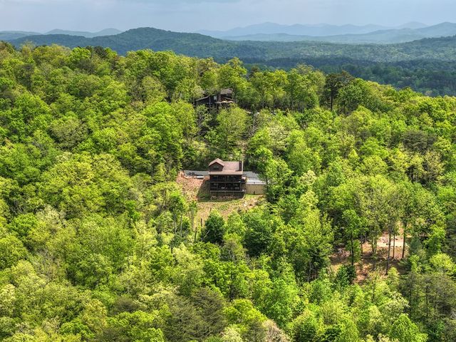 291 Tower Road, Mineral Bluff, GA 30559