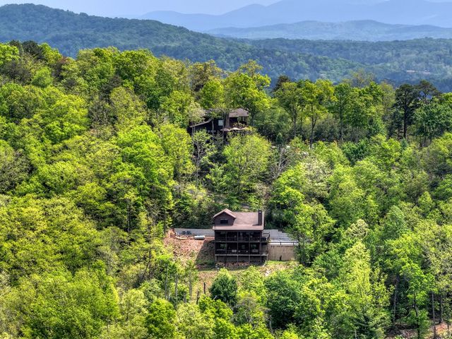 291 Tower Road, Mineral Bluff, GA 30559