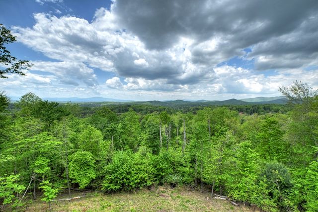 291 Tower Road, Mineral Bluff, GA 30559