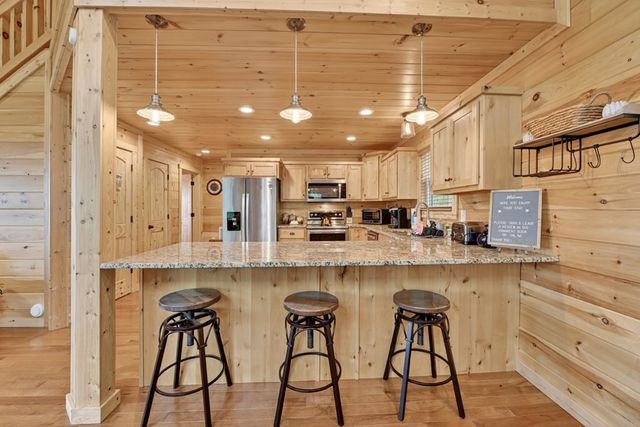 291 Tower Road, Mineral Bluff, GA 30559
