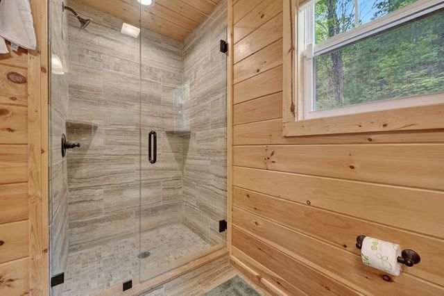 291 Tower Road, Mineral Bluff, GA 30559