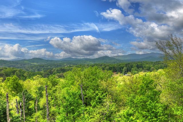 291 Tower Road, Mineral Bluff, GA 30559