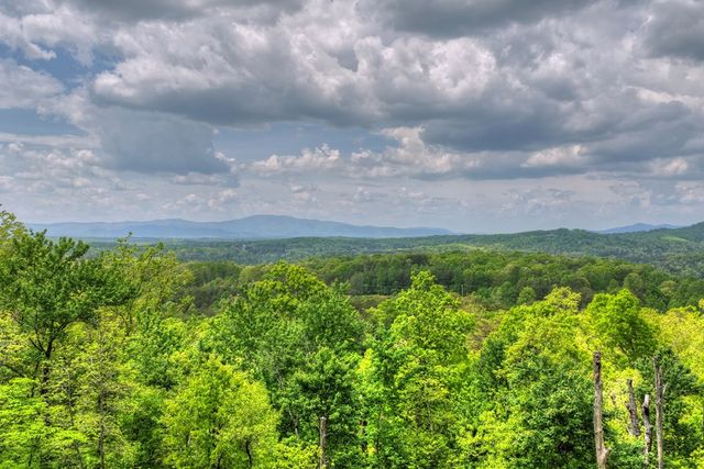 291 Tower Road, Mineral Bluff, GA 30559
