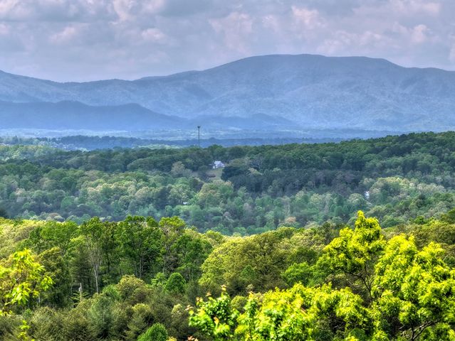 291 Tower Road, Mineral Bluff, GA 30559