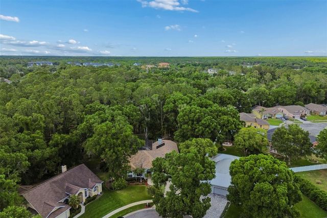 1661 WOODRIDGE COURT, Lutz, FL 33559