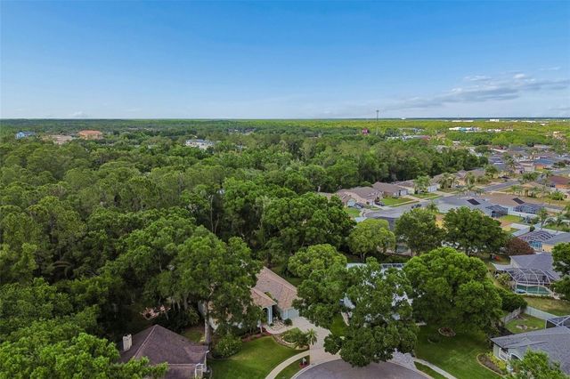 1661 WOODRIDGE COURT, Lutz, FL 33559