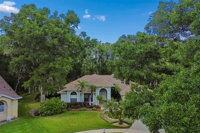 1661 WOODRIDGE COURT, Lutz, FL 33559