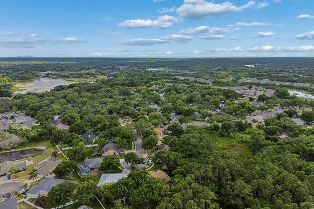 1661 WOODRIDGE COURT, Lutz, FL 33559
