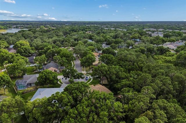 1661 WOODRIDGE COURT, Lutz, FL 33559