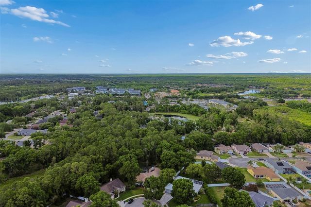 1661 WOODRIDGE COURT, Lutz, FL 33559