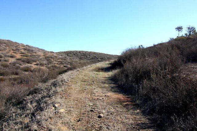 33687 N Sidney, Winchester, CA 92596