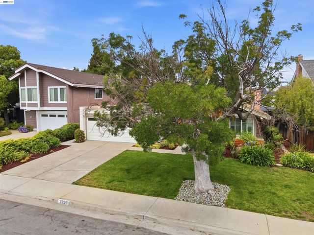 7629 Elderwood Court, Cupertino, CA 95014