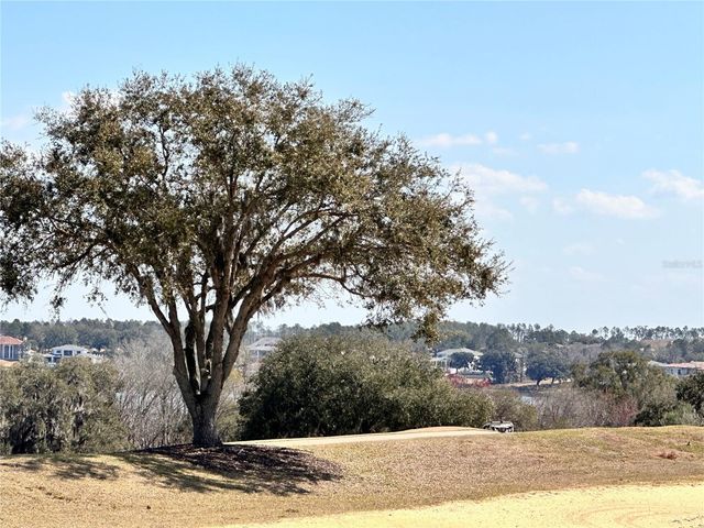 16822 ARTIMINO LOOP, Bella Collina, FL 34756