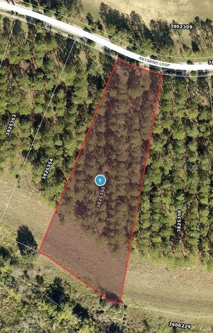 16822 ARTIMINO LOOP, Bella Collina, FL 34756