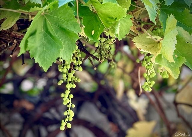 32 Melrose Drive, Mission Viejo, CA 92692