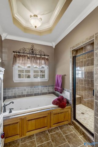 25386 Drury Lane, Toney, AL 35773