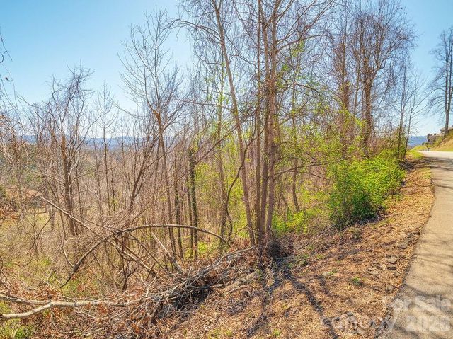 61 Ben Lippen School Road, Asheville, NC 28806