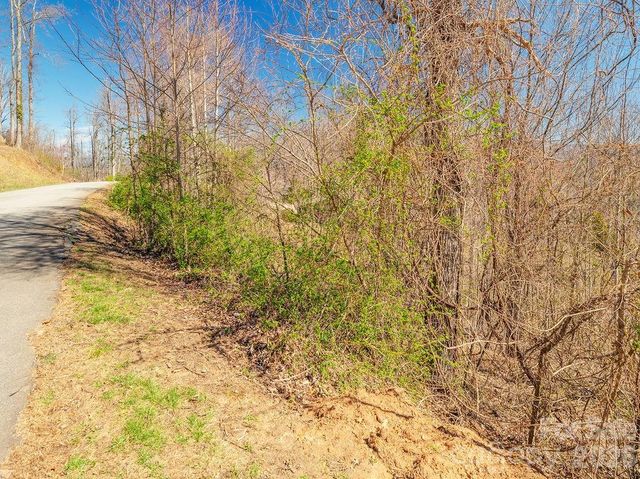 61 Ben Lippen School Road, Asheville, NC 28806