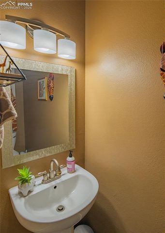 3915 Smoke Tree Drive, Colorado Springs, CO 80920