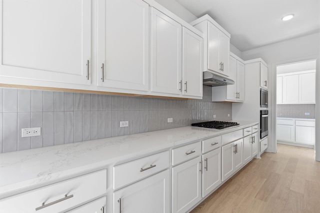 549 Wood Thrush RUN, Kyle, TX 78640