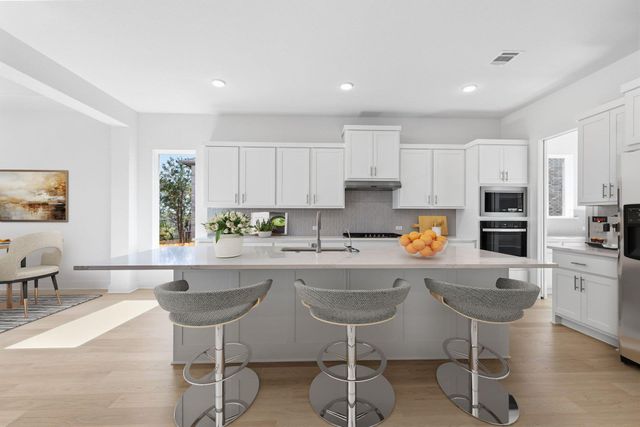 549 Wood Thrush RUN, Kyle, TX 78640