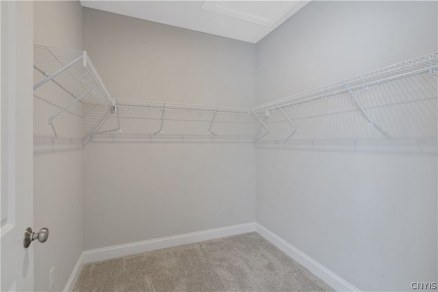 109 Terwillager Lane, Manlius, NY 13116