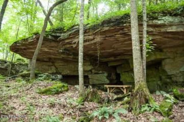 120 Forest View Drive, Crossville, TN 38558