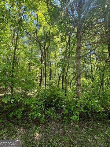 0 Sunrise Valley Road, Blue Ridge, GA 30513