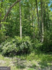 0 Sunrise Valley Road, Blue Ridge, GA 30513