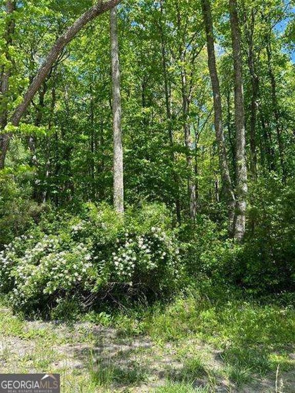 0 Sunrise Valley Road, Blue Ridge, GA 30513
