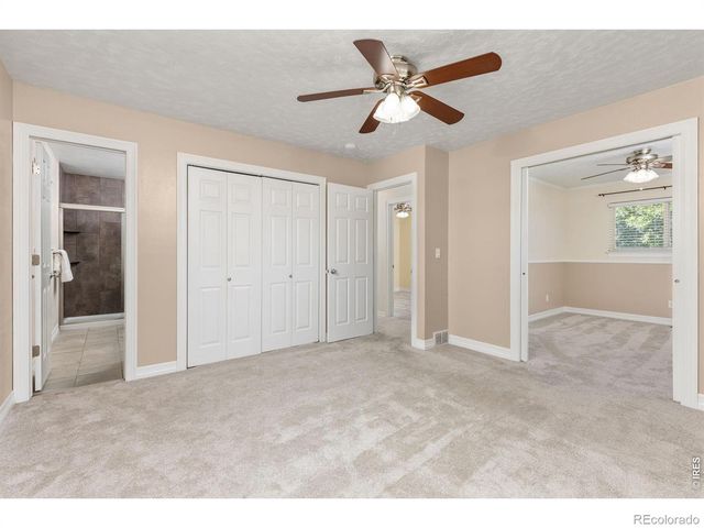 619 Blue Mountain Court, Windsor, CO 80550
