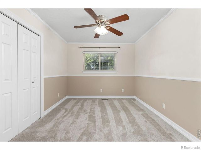 619 Blue Mountain Court, Windsor, CO 80550