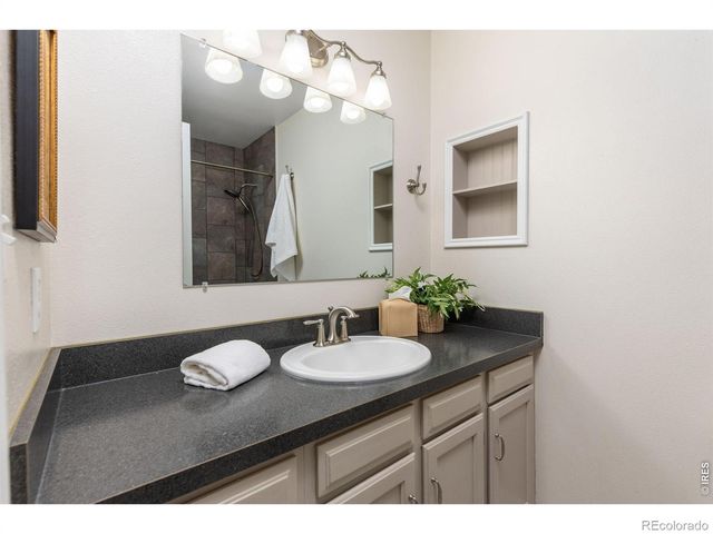 619 Blue Mountain Court, Windsor, CO 80550