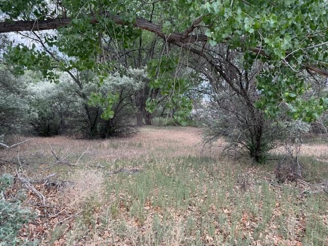 5050 Alexander, Farmington, NM 87402