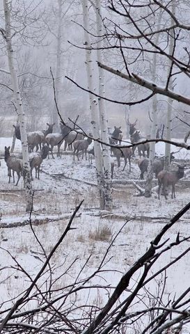 10401 Windy Ridge Road, Aguilar, CO 81020