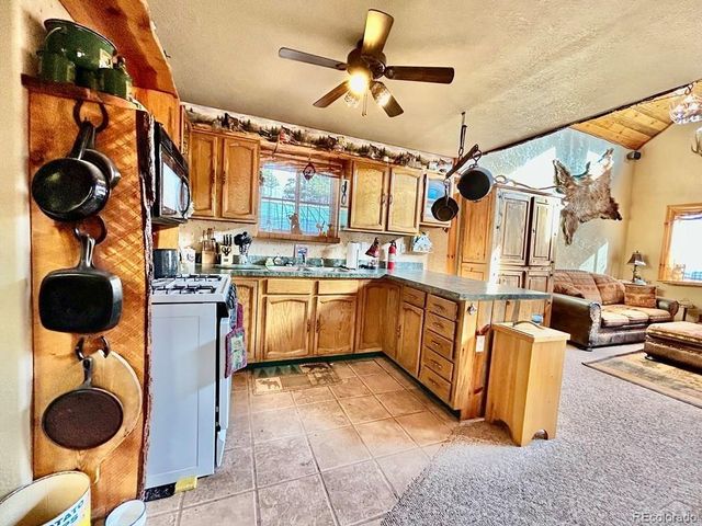 10401 Windy Ridge Road, Aguilar, CO 81020