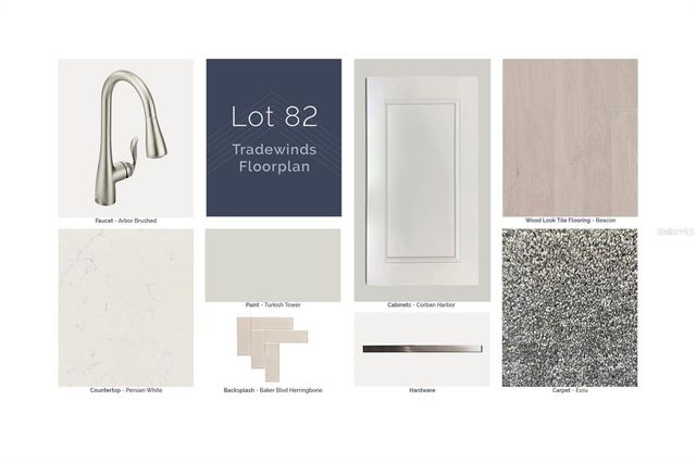 866 CREEPING FIG STREET, Apopka, FL 32703